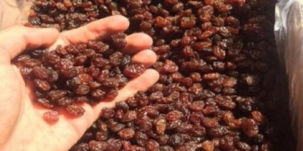 تصویر 1 از قیمت کشمش پلویی فله با کیفیت ارزان + خرید عمده